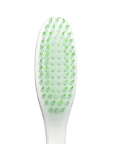 EXECUTIVE SPRING GREEN