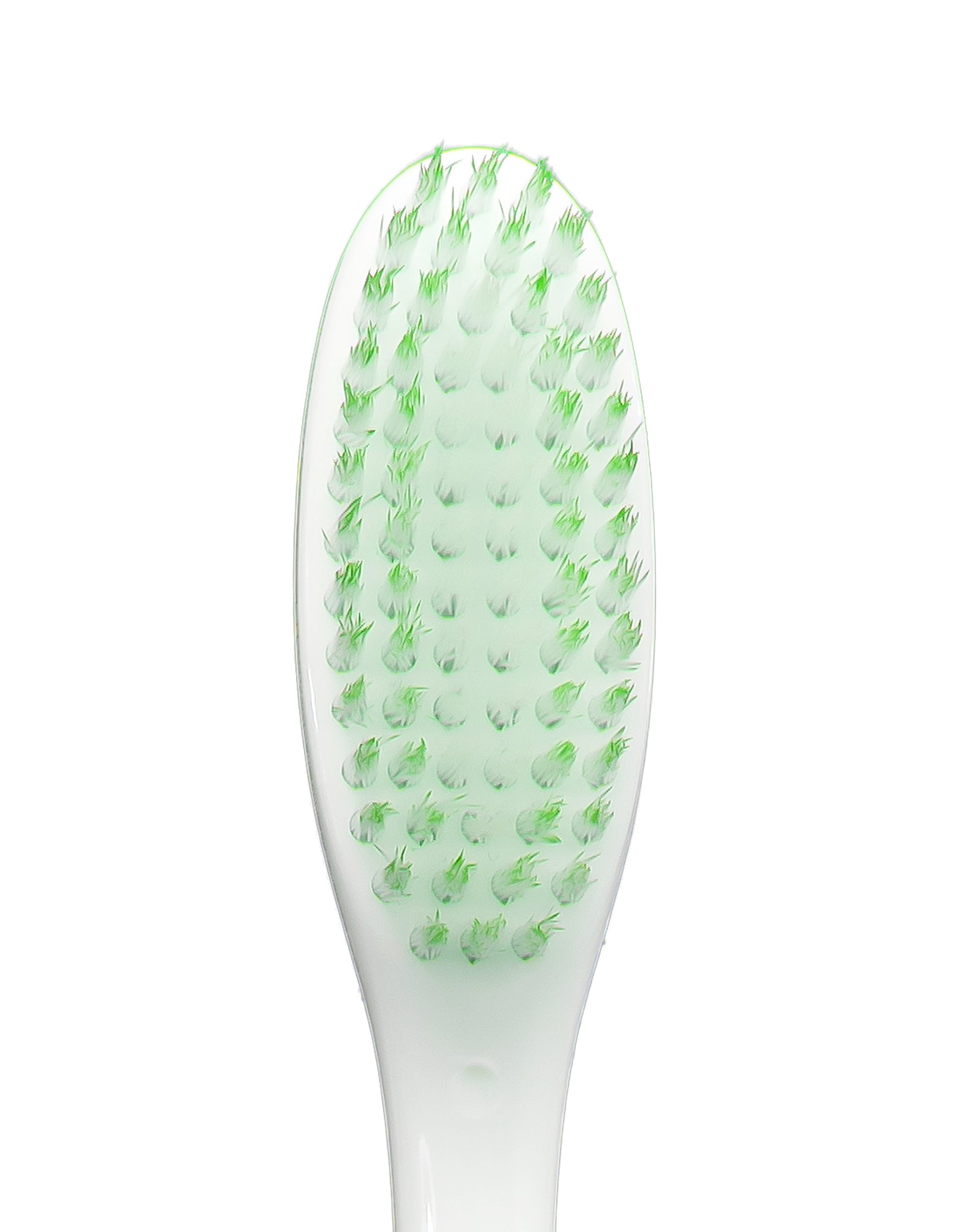 EXECUTIVE SPRING GREEN