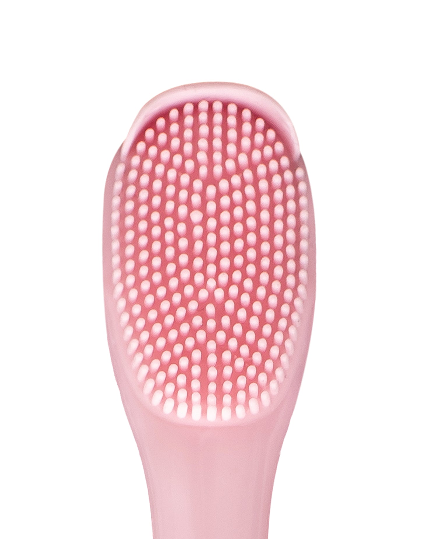 SHINE & FRESH PINK