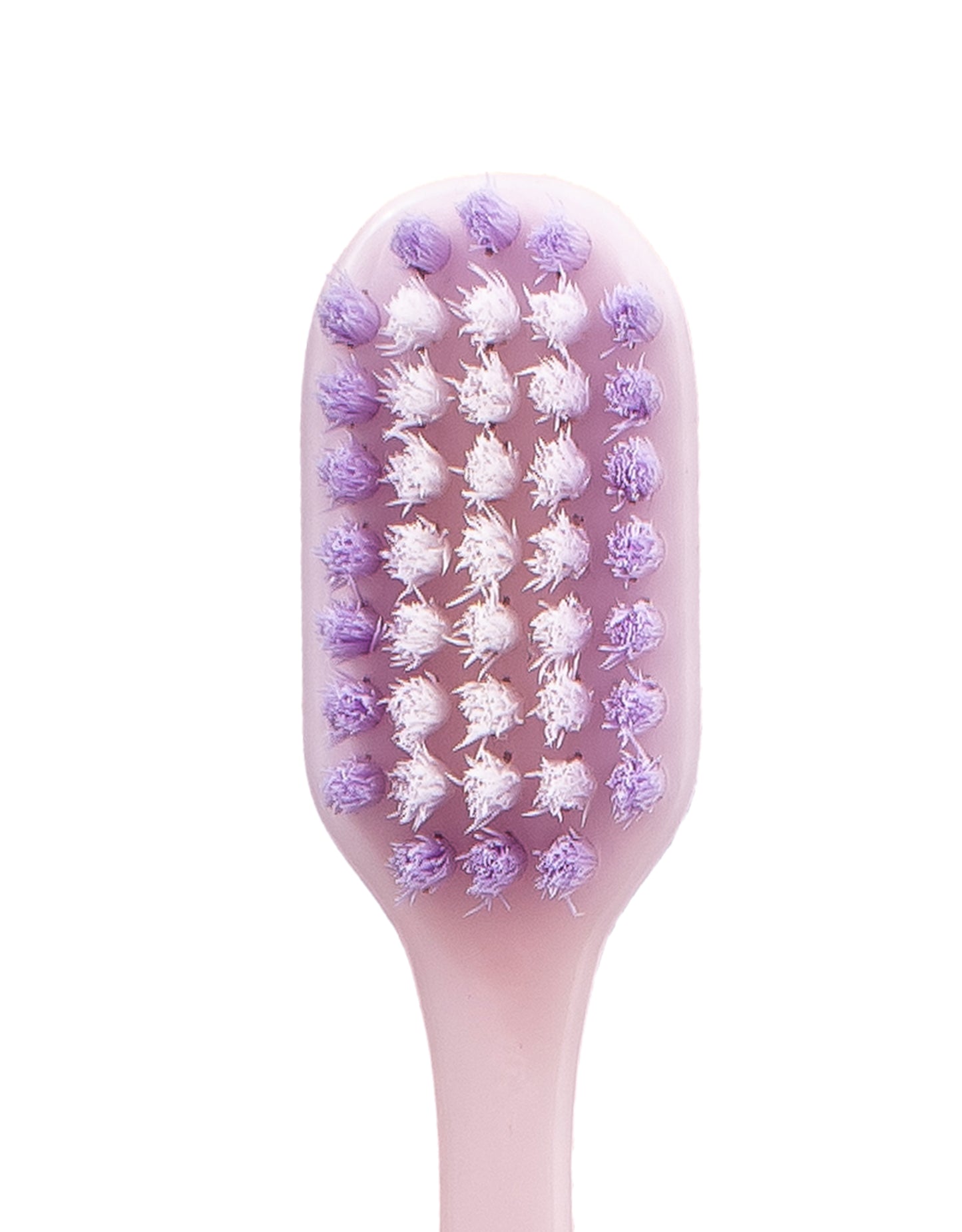 SHINE & FRESH PURPLE