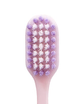 SHINE & FRESH PURPLE